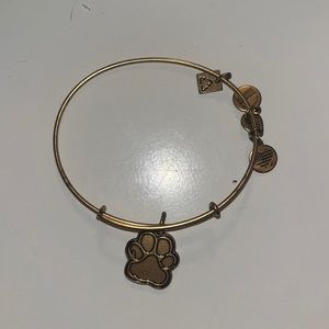 Alex and Ani Bracelet